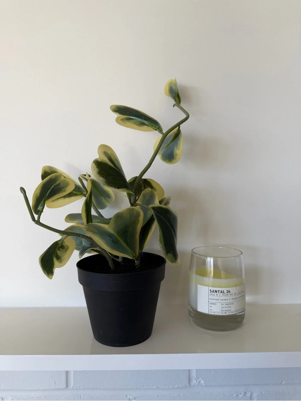 [NWOT] Faux Trailing Heart Plant